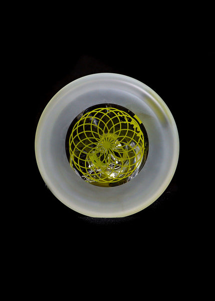 Illadelph Frosted Medium Signature Beaker - Lime