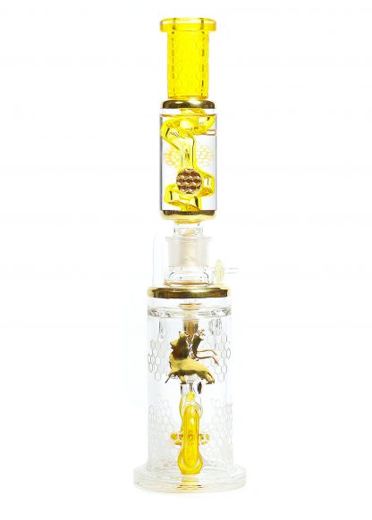 Yellow Terps & Gold Inlay Danklin Coil Klein - Image 6