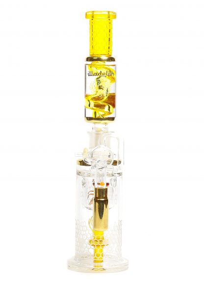 Yellow Terps & Gold Inlay Danklin Coil Klein - Image 4