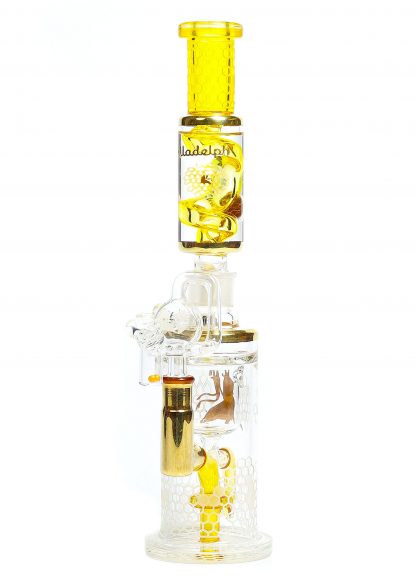 Yellow Terps & Gold Inlay Danklin Coil Klein - Image 3
