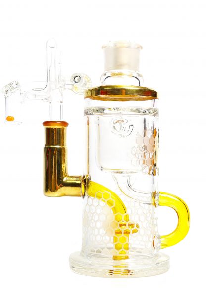 Yellow Terps & Gold Inlay Danklin Coil Klein - Image 7